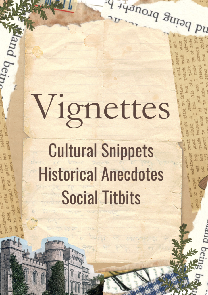 vignettes by tirtha website
